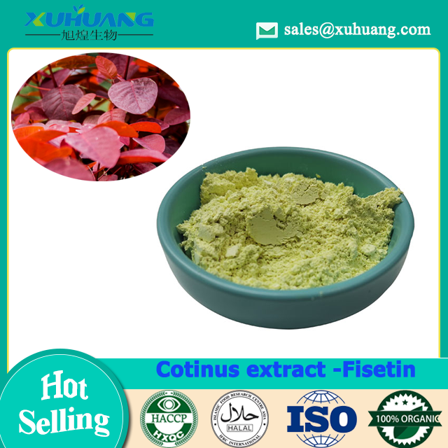 Cotinus Coggygria fisetin Benefícios