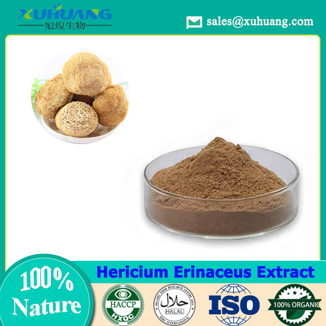 Extrato de Hericium Erinaceus