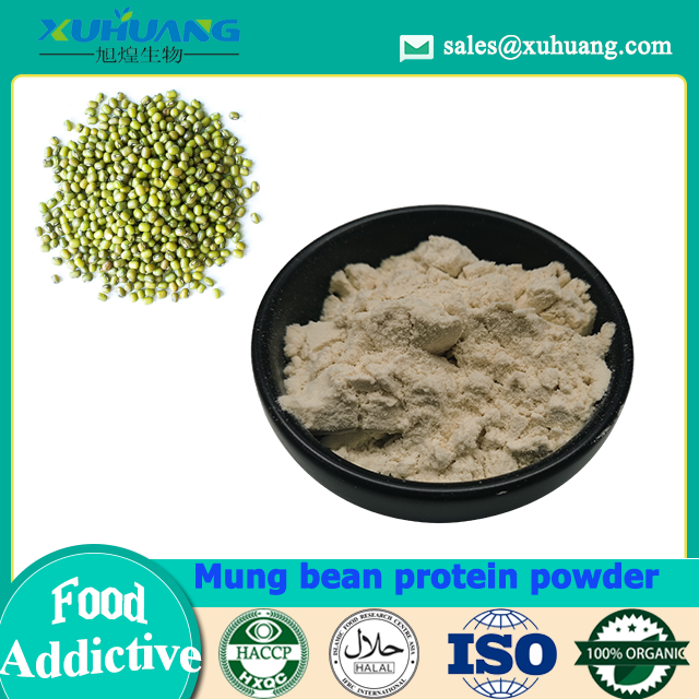 Proteína de feijão mungo em pó